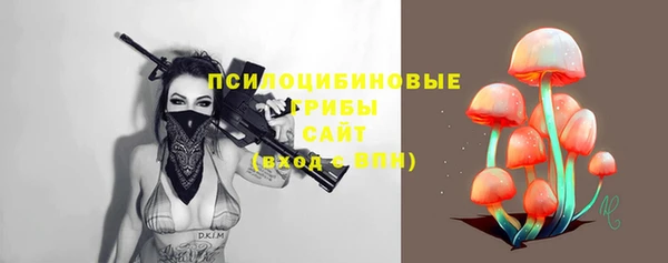 скорость Липки