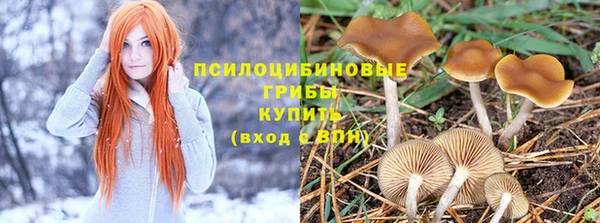 спайс Лихославль
