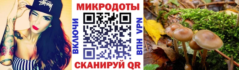 Галлюциногенные грибы MAGIC MUSHROOMS  наркошоп  Нальчик 