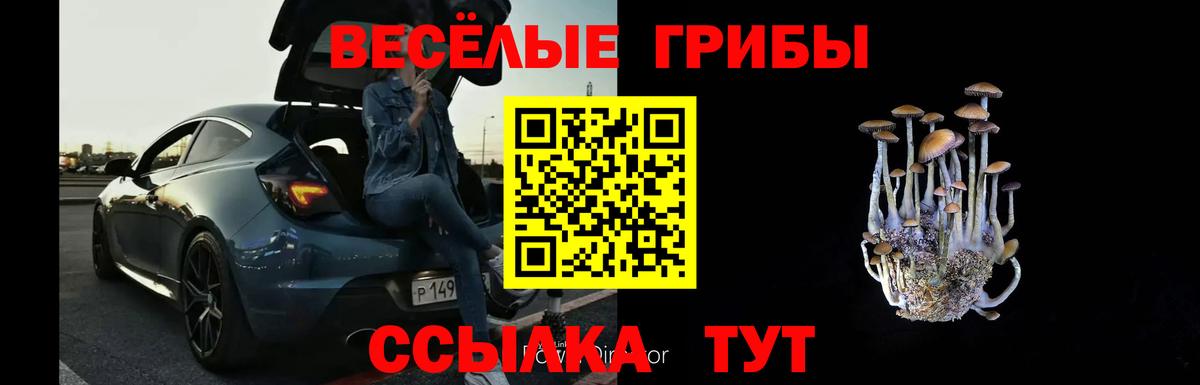 Галлюциногенные грибы прущие грибы  Вход с VPN  Нальчик 